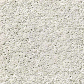 Shaw Floors Basic Rules Dew SHAW