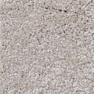 Shaw Floors That's Right Greige SHAW