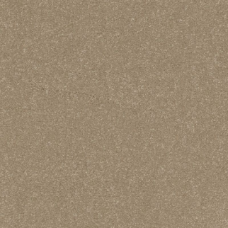 Shaw Floors Awaken Spirit II 15' Muffin SHAW