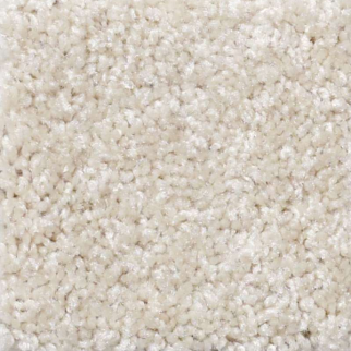 Shaw Floors Parlay Sand Dollar SHAW