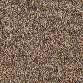 Philadelphia Commercial Franchise Sunburst Shaw