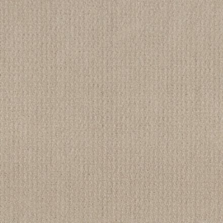 Shaw Floors Translate Biscuit SHAW