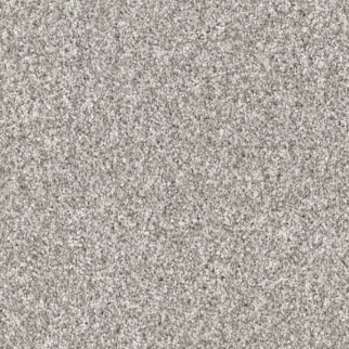 Shaw Floors Yes You Can II 12' Frozen SHAW