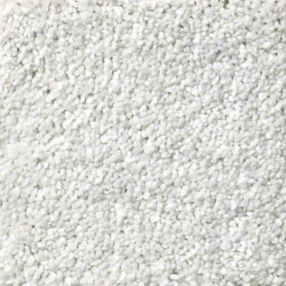 Shaw Floors Basic Rules Mist SHAW