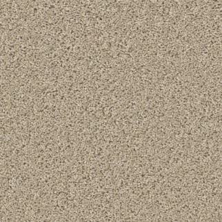 Shaw Floors High Ranking S Paradise SHAW