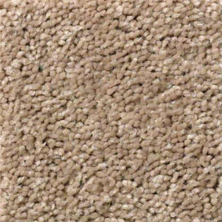 Shaw Floors Full Court 12 Tassel SHAW