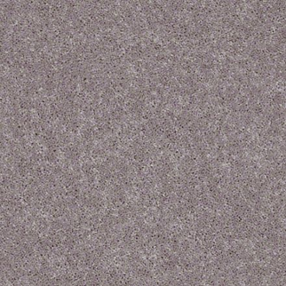 Shaw Floors All Star Weekend II 12' Tassel SHAW