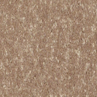 Shaw Floors Full Court 15 Tassel SHAW