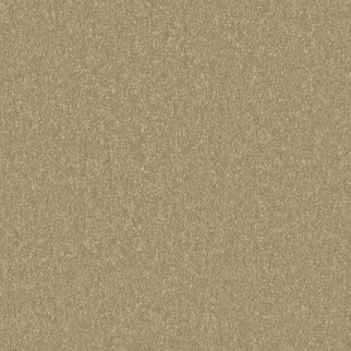 Shaw Floors Awaken Spirit II 12' Classic Buff SHAW