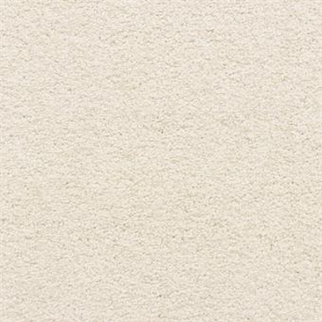 Masland Carpets Knockout Edge Masland