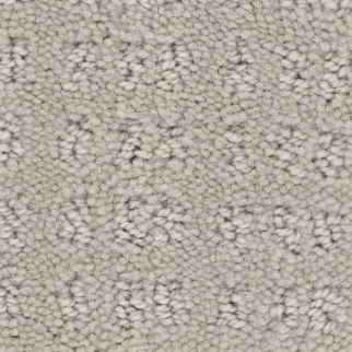 Shaw Floors Essential Now Fossil Path SHAW