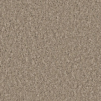 Shaw Floors High Ranking S Broadstreet SHAW