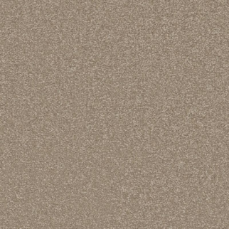 Shaw Floors Awaken Spirit II 15' Fresco SHAW