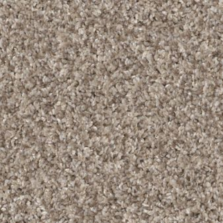 Shaw Floors Yes You Can I 12' Natural SHAW