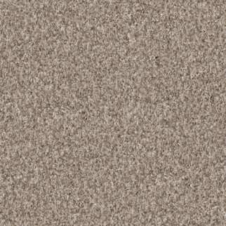 Shaw Floors Yes You Can II 15' Natural SHAW