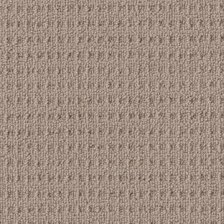 Shaw Floors Framed View Pebble Path SHAW