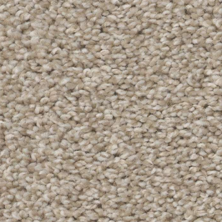 Shaw Floors Trusolutions I Sand SHAW