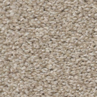 Shaw Floors Trusolutions II Sand SHAW