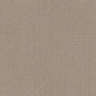 Shaw Floors Translate Sand Swept SHAW