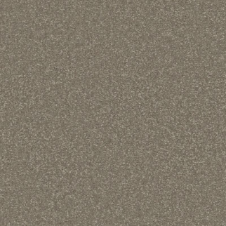 Shaw Floors Awaken Spirit I 12' Bungalow SHAW