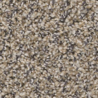 Shaw Floors Always Right II Cork SHAW