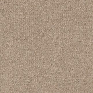 Shaw Floors Translate Fresh Baked SHAW