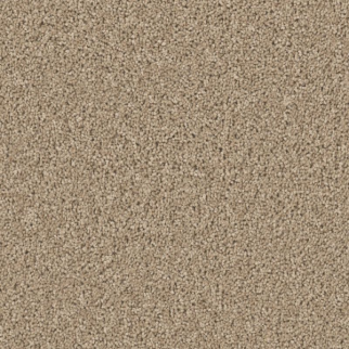 Shaw Floors High Ranking S Mystic Gold SHAW