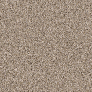 Shaw Floors Affirmation I Plateau SHAW