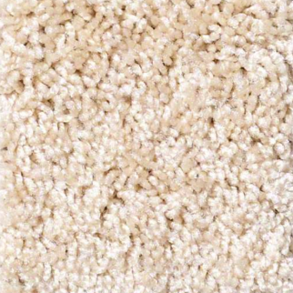 Shaw Floors Dreamin 12' Rice Paper SHAW