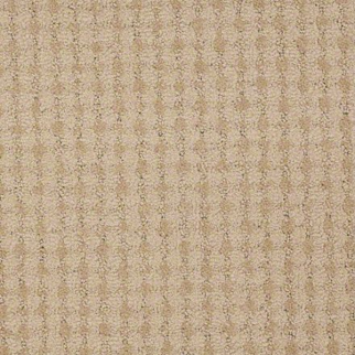 Philadelphia Commercial Metro Life Cable Car Shaw