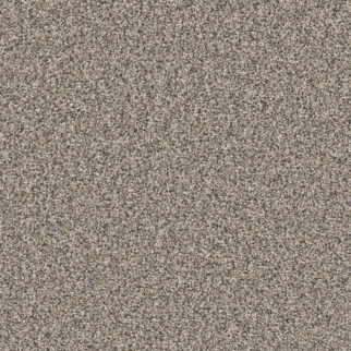 Shaw Floors Affirmation I Bistro SHAW