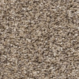 Shaw Floors Yes You Can I 12' Chic Greige SHAW