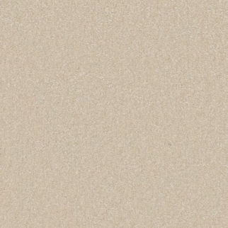 Shaw Floors Awaken Spirit I 12' Cottage SHAW