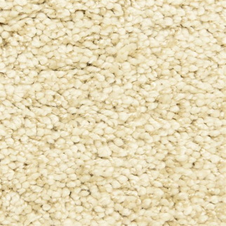 Masland Carpets Shangri-La Too Elusive Masland