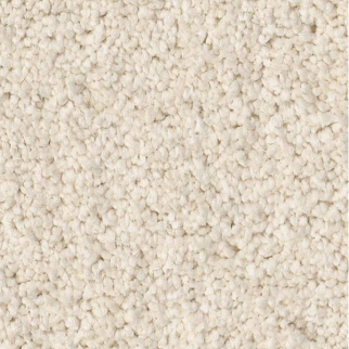 Tuftex Enduring Charm Angora SHAW