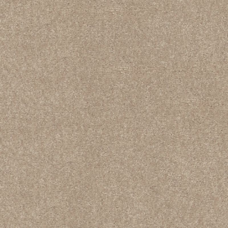 Shaw Floors Easy Spirit I 12 Shaker Beige SHAW