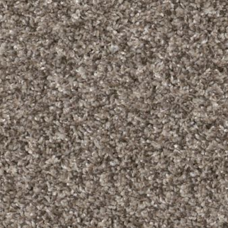 Shaw Floors Yes You Can I 12' Soft Sense SHAW