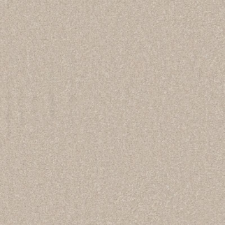 Shaw Floors Awaken Spirit I 12' Spun Wool SHAW