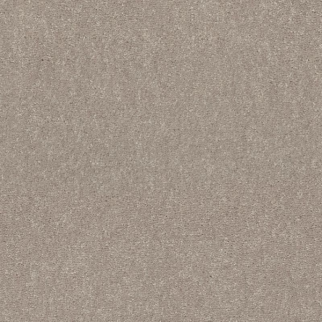 Shaw Floors Easy Spirit II 12 Biscotti SHAW