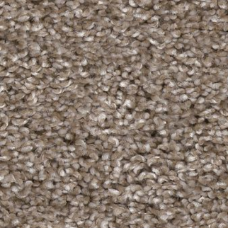 Shaw Floors Yes You Can I 12' Cameo SHAW