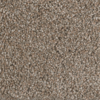 Dreamweaver Carpet Jackson Hole I Prairie Sun DREAMWEAVER