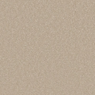 Shaw Floors Awaken Spirit II 12' Windfresh SHAW