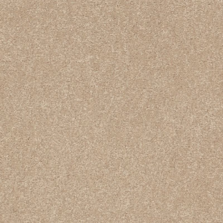 Shaw Floors Easy Spirit III 12 Captiva SHAW