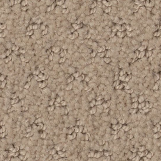 Tuftex Del Vista Terrazo SHAW
