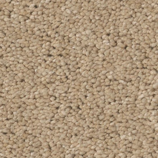 Tuftex Enduring Charm Transparent SHAW