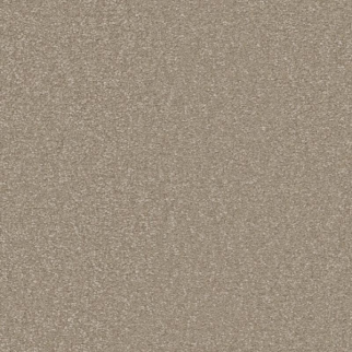 Shaw Floors Awaken Spirit II 12' Neutral Ground SHAW