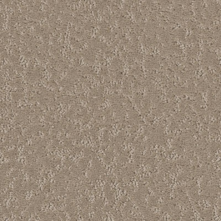 Shaw Floors Clever Choice Sandstone SHAW