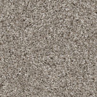 Shaw Floors Yes You Can I 12' Sculpture SHAW