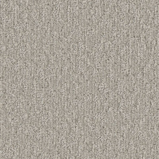 Shaw Floors Clever Blend Sculpture SHAW