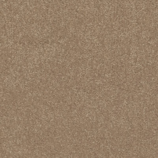 Shaw Floors Easy Spirit I 12 Stone House SHAW